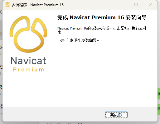 Navicat Premium 16.2.x最新激活破解教程来了(图10)