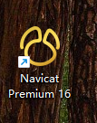 Navicat Premium 16.2.x最新激活破解教程来了(图14)